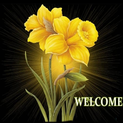 Next generation seqencing tecnologies and application vegetable crops