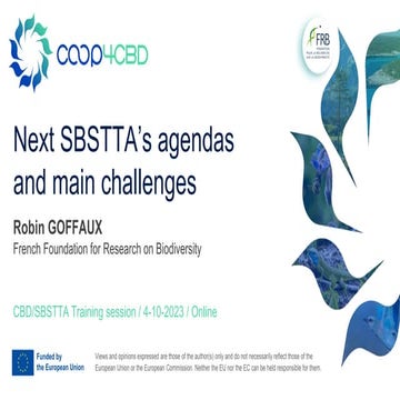 Role of a CBD SBSTTA NFP.pdf