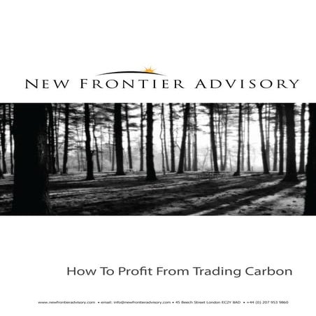 How To Profit From Carbon Credit Trading