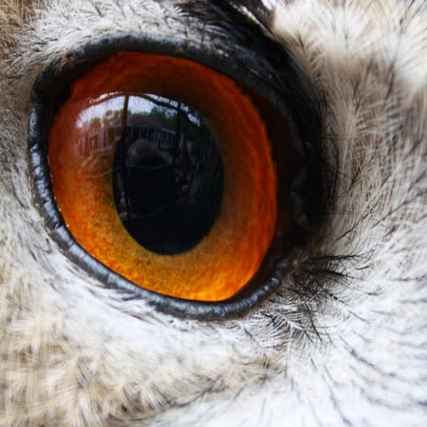 Geospatial aspects of surveillance cameras