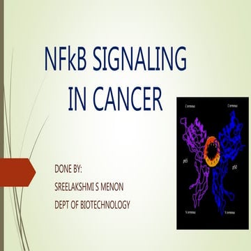 N fk b signaling in cancer | PPTX