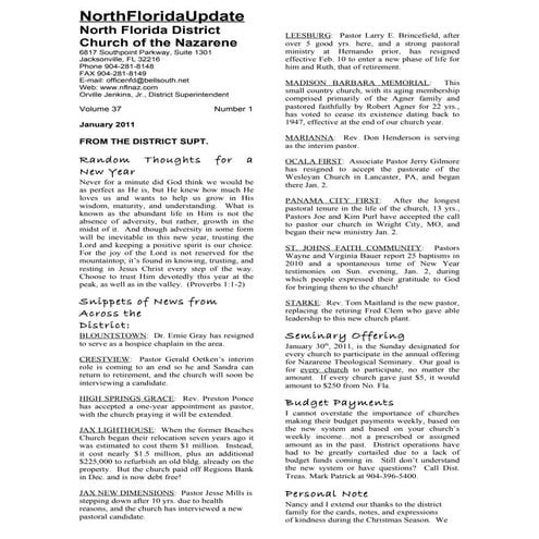 Local NMI annual report form--Word, secretary | DOC