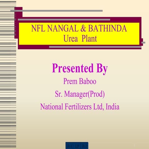 Nfl nangal urea  plant (1)