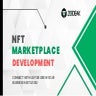 NFT Marketplace Development | Zodeak 