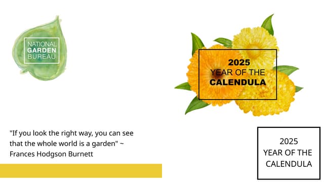 NGB Year Of The Calendula PPT 2025 1 Pptx Ngbyearofthecalendulappt20251 241028194505 1562d518 Thumbnail