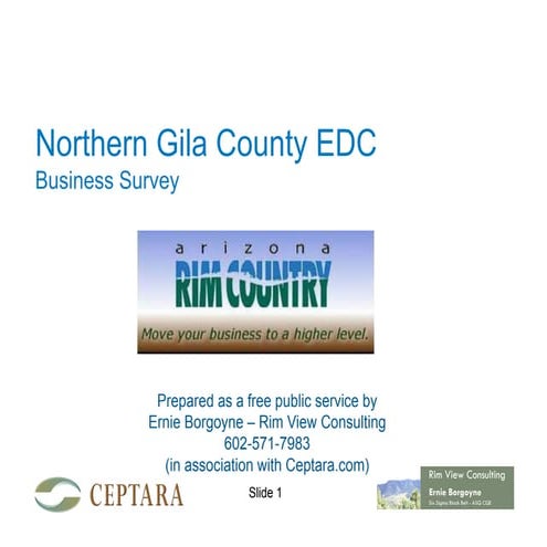 NGCEDC business survey