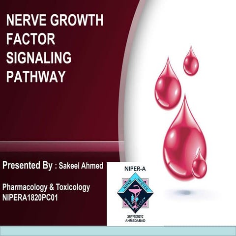 Nerve growth factor (NGF)  Signalling pathways. 