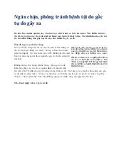 Holte kurskatalog 2015