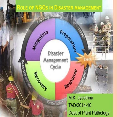 Stakeholders in disaster management | PDF