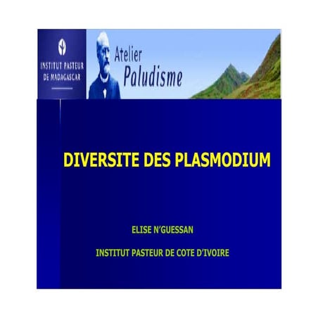 Diversité des plasmodies