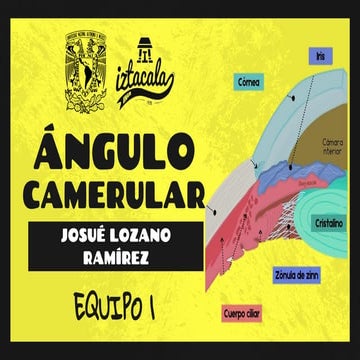 Ángulo camerular. 