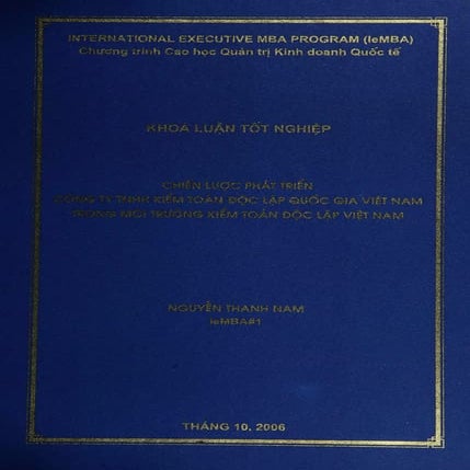 NGUYEN THANH NAM_CHIEN LUOC PHAT TRIEN.pdf