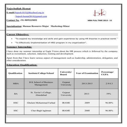  this is a professional CV of Najeeb Hemat   