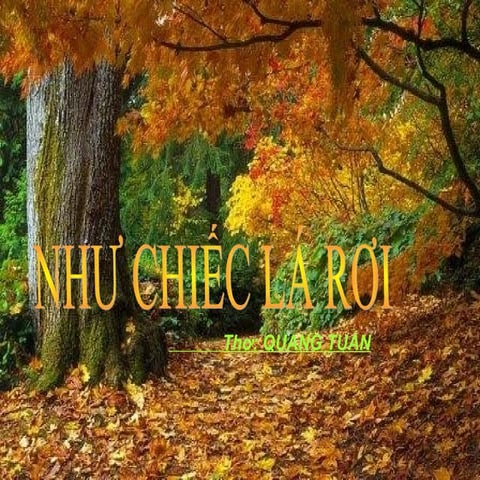 Như Chiếc Lá Rơi. | PPS