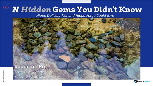 N hidden gems you didn't know hippo delivery tier and hippo (forge) could give