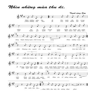 Nhinnhungmuathudi trinhcong son