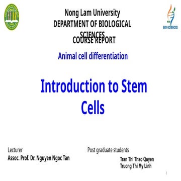 Animal cell differentiation Introduction to Stem Cells | PPTX