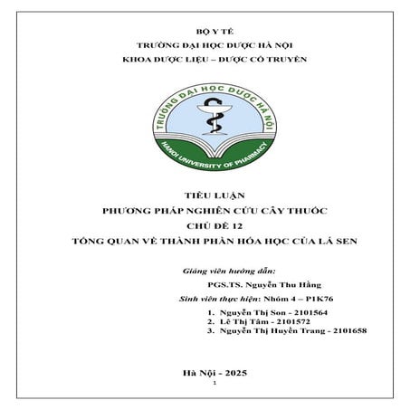 Nhóm 4 - Chủ đề 12 - Tiểu luận Tổng quan tài liệu.pdf