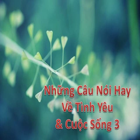 Những Câu Nói Hay về Tình Yêu&amp;Cuộc Sống 3