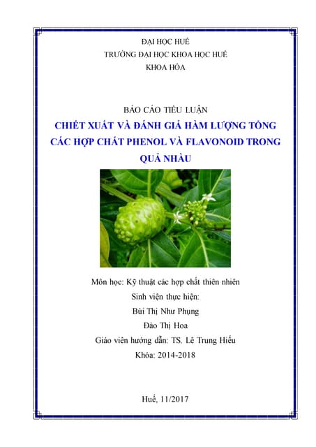 Đánh giá hàm lượng tổng phenolic và flavonoid trong quả Nhàu