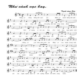 Nhucanhvacbay trinhcong son