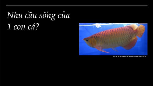 NHU CẦU CỦA CON NGƯỜI Trong cuộc sống hiện nay.pptx