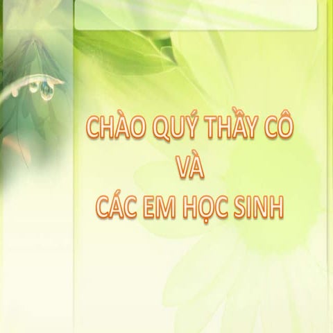 tin học lớp 9