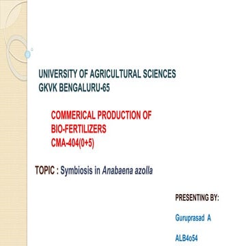 Azolla and Anabena symbiosis