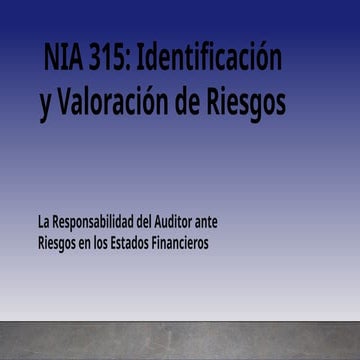 NIA 315: Comprehensive Guide to Risk Identification and Assessment in ...