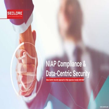 NIAP Compliance & Data-Centric Security