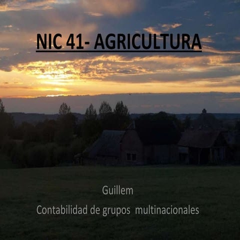 Nic 41  agricultura