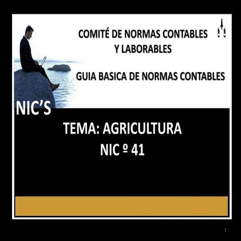 NIC 41 AGRICULTURA, Teoría y practica.pptx