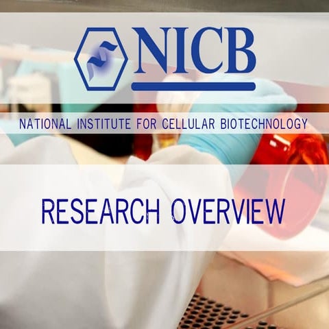 Nicb Research Overview