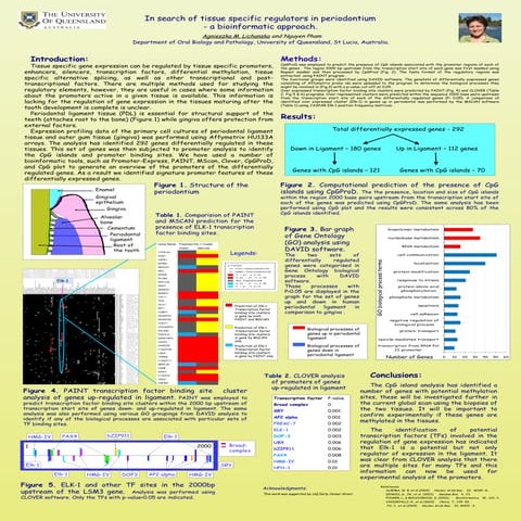 In search of tissue specific regulators in periodontium  - a bioinformatic ap...