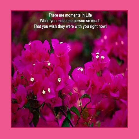 Nice weekend with music