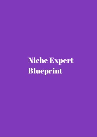 Niche expert blueprint all you need to know review