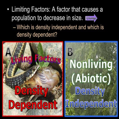 Limiting Factors Worksheet | DOCX