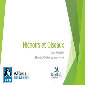 Oiseaux & Nichoirs