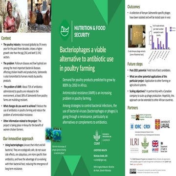 Bacteriophages a viable alternative to antibiotic use in poultry farming