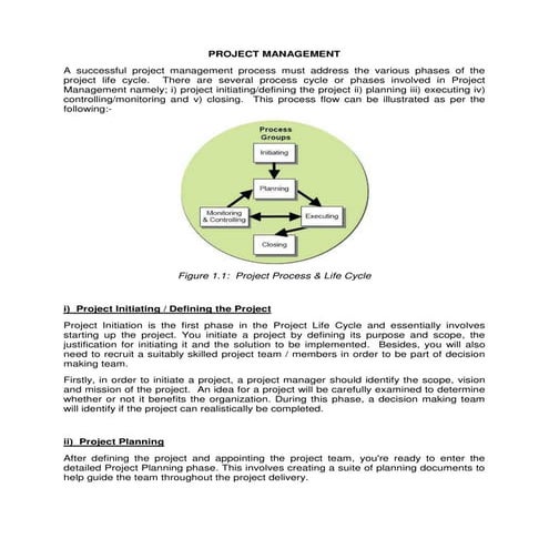 nicolas emanuel liso fabbri_project management