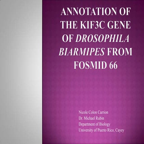 Nicole colonfall2012researchproposalv4 final