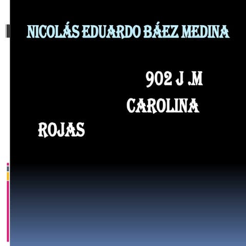 Nicolás eduardo báez medina