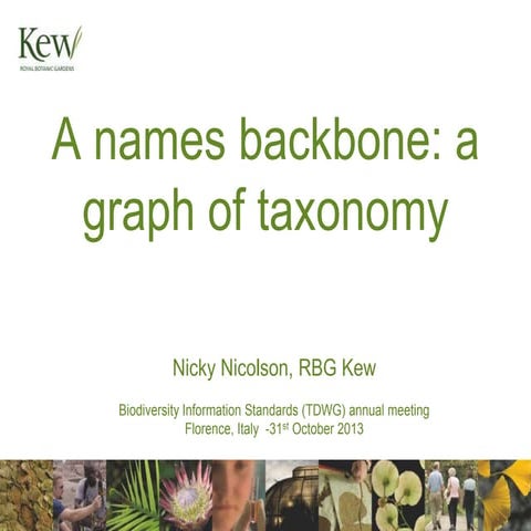 names-backbone-graph-TDWG