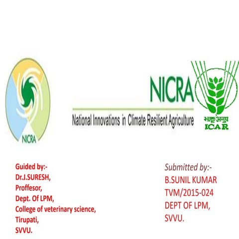 NICRA PROJECT BY Dr.SUNIL KUMAR BOYA