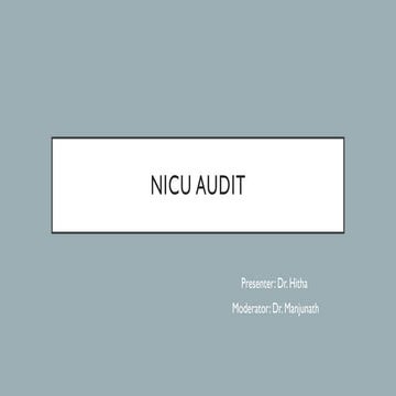 audit (1).pptx