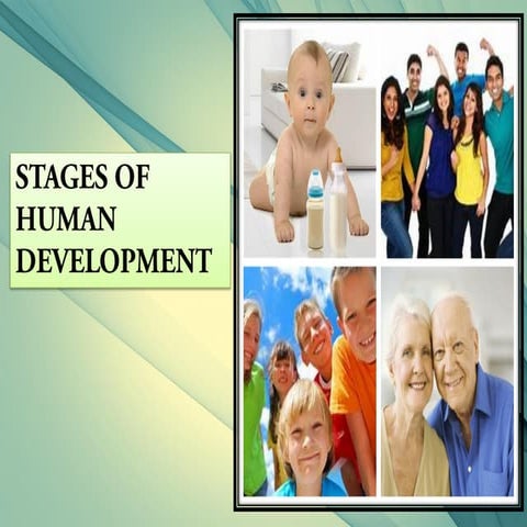 stages of human development | PPT