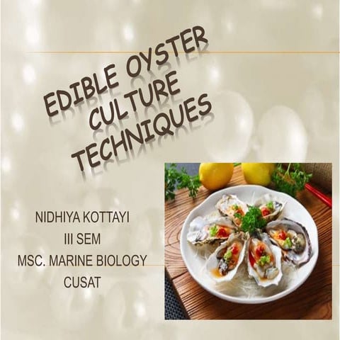 edible and pearl oysters
