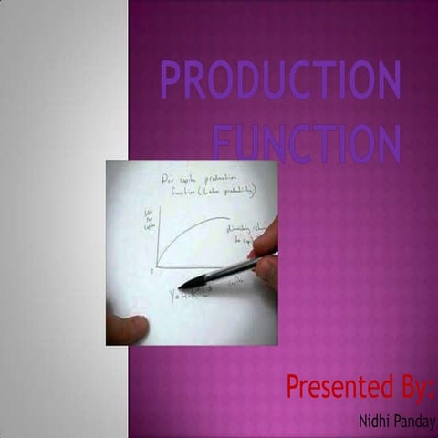 Nidhi ppt (production function)