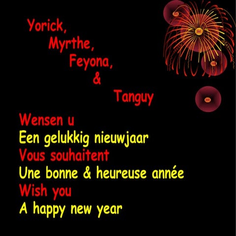Nieuwjaar 2012