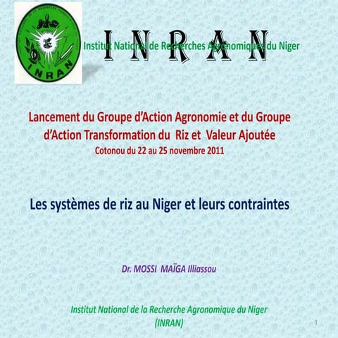 Niger africa rice_cotonou